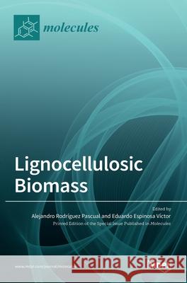 Lignocellulosic Biomass Alejandro Rodr Pascual Eduardo Espinosa V 9783036524757