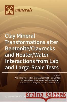 Clay Mineral Transformations after Bentonite/Clayrocks and Heater/Water Interactions from Lab and Large-Scale Tests Ana Marıa Fernandez Stephan Kaufhold Markus Olin 9783036544304