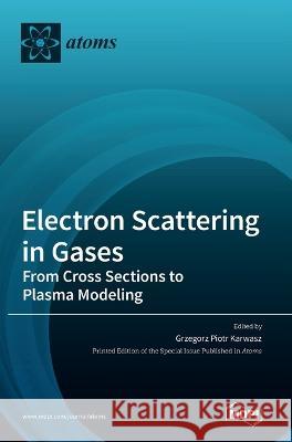 Electron Scattering in Gases: From Cross Sections to Plasma Modeling Grzegorz Piotr Karwasz   9783036545578 Mdpi AG