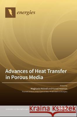 Advances of Heat Transfer in Porous Media Moghtada Mobedi Kamel Hooman  9783036567105 Mdpi AG