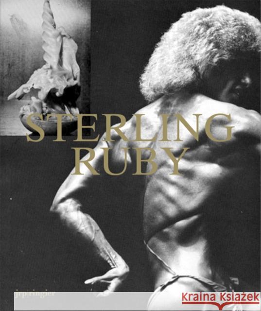 Sterling Ruby Robert Hobbs Jorg Heiser Catherine Taft 9783037643754 JRP Ringier