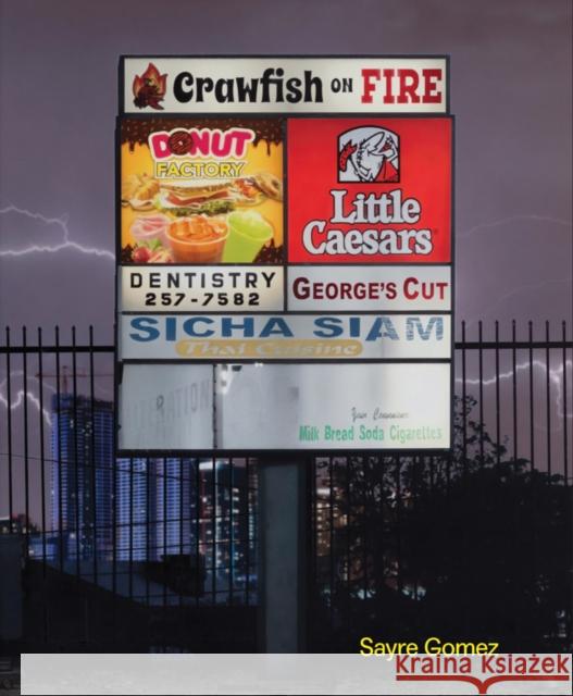 Sayre Gomez  9783037646236 Jrp Ringier