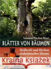 Blätter von Bäumen : Heilkraft und Mythos einheimischer Bäume Fischer-Rizzi, Susanne   9783038003434