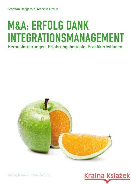 M&A: Erfolg dank Integrationsmanagement : Herausforderungen, Erfahrungsberichte, Praktikerleitfaden Bergamin, Stephan; Braun, Markus 9783038101291