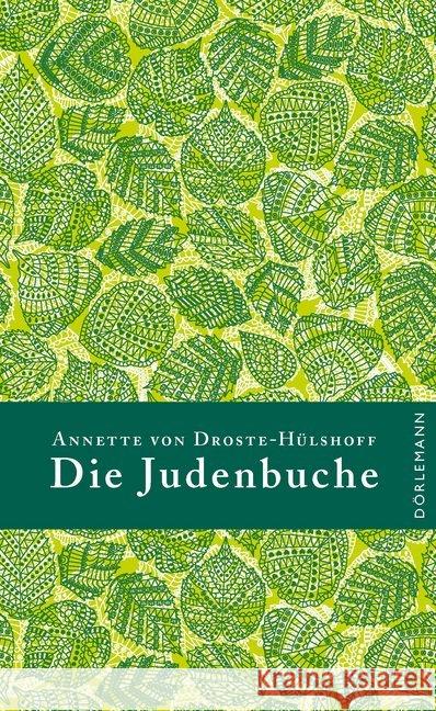 Die Judenbuche Droste-Hülshoff, Annette von 9783038200376 Dörlemann