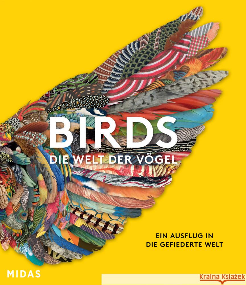 BIRDS - Die Welt der Vögel Van Grouw, Katrina 9783038762850 Midas Collection