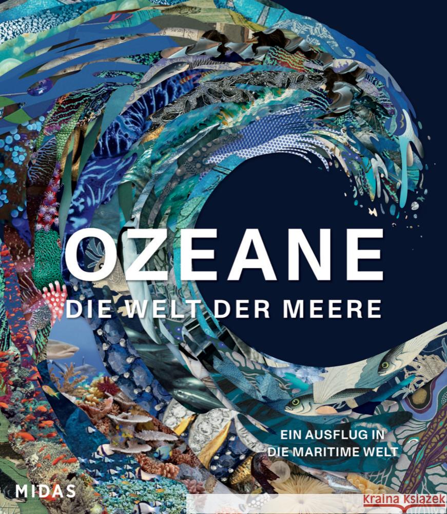 OZEANE - Die Welt der Meere Melster, Anne-Marie 9783038763000