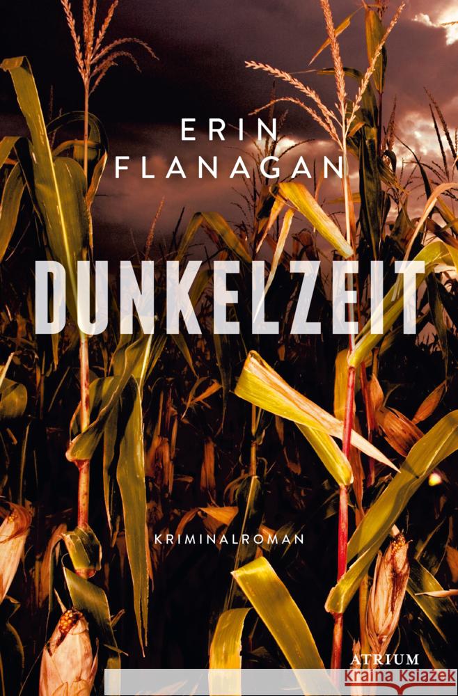 Dunkelzeit Flanagan, Erin 9783038820420