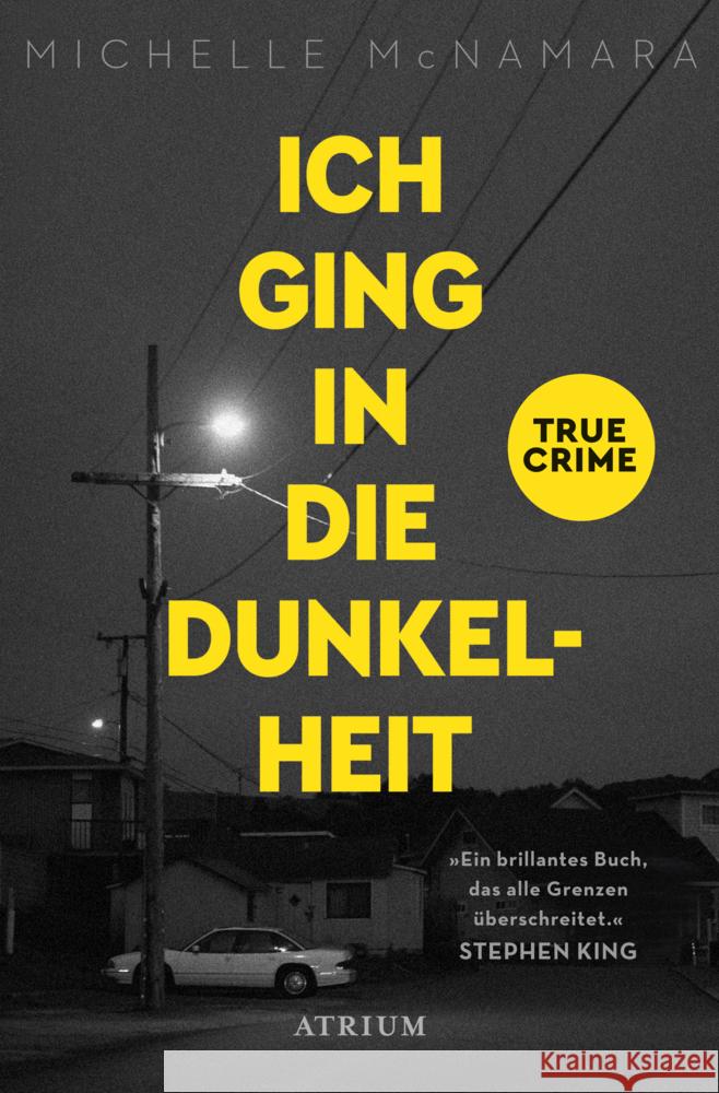 Ich ging in die Dunkelheit : True Crime McNamara, Michelle 9783038821151 Arctis Verlag