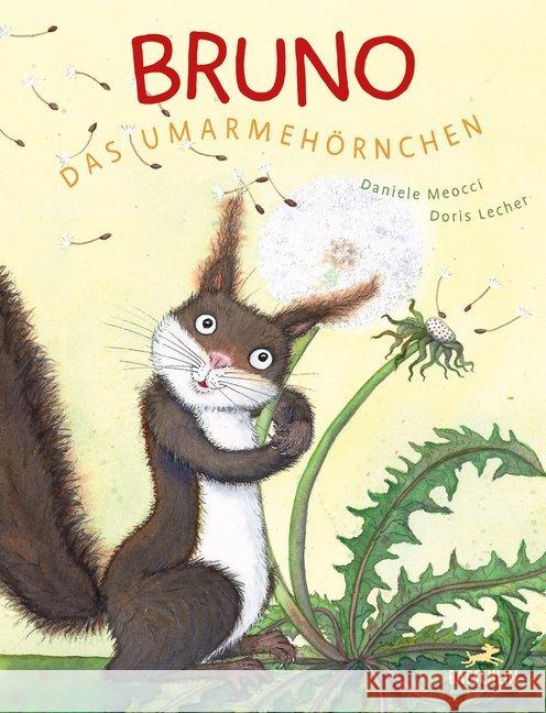 Bruno, das Umarmehörnchen : Bilderbuch Meocci, Daniele 9783038930129