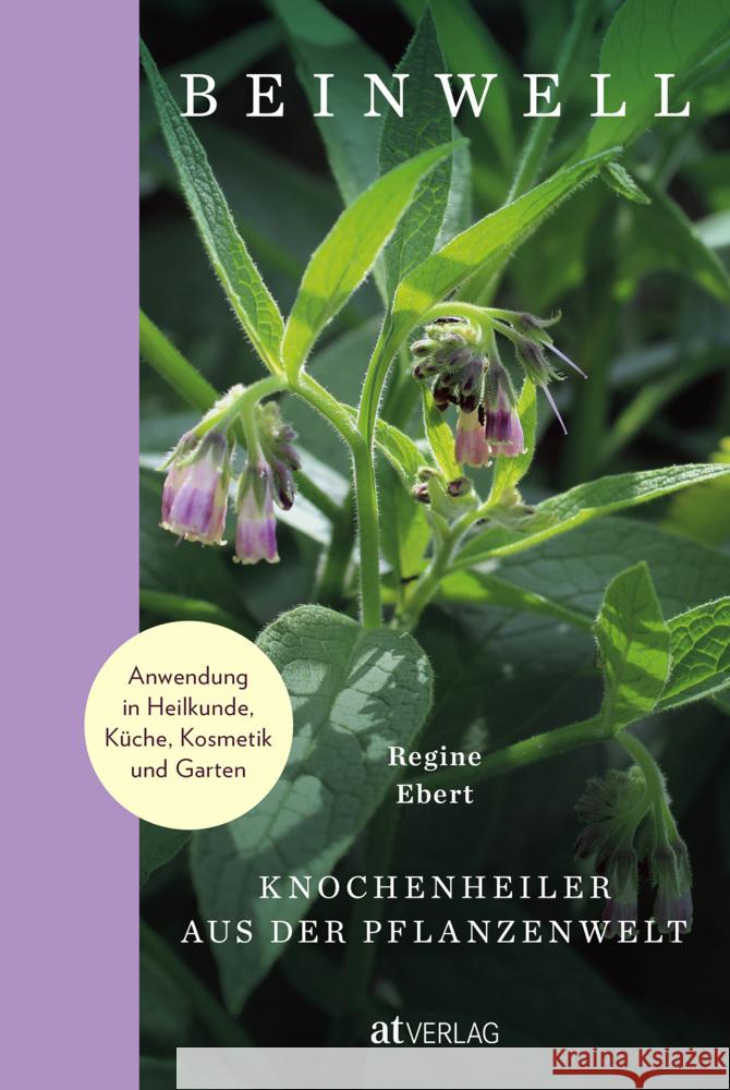 Beinwell Ebert, Regine 9783039021406