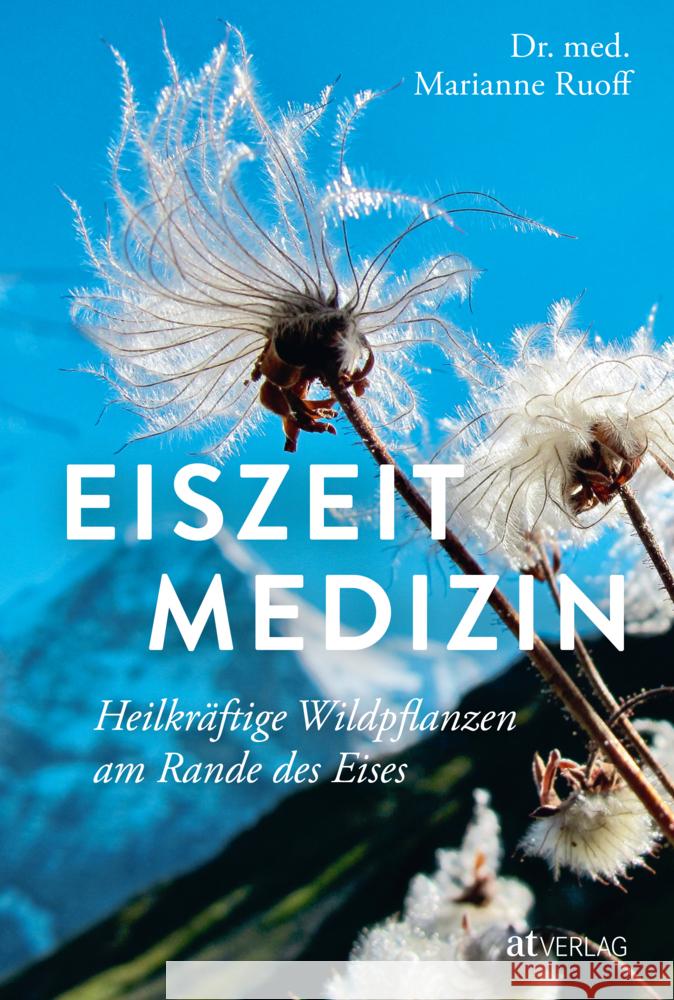 Eiszeitmedizin Ruoff, Marianne 9783039022618