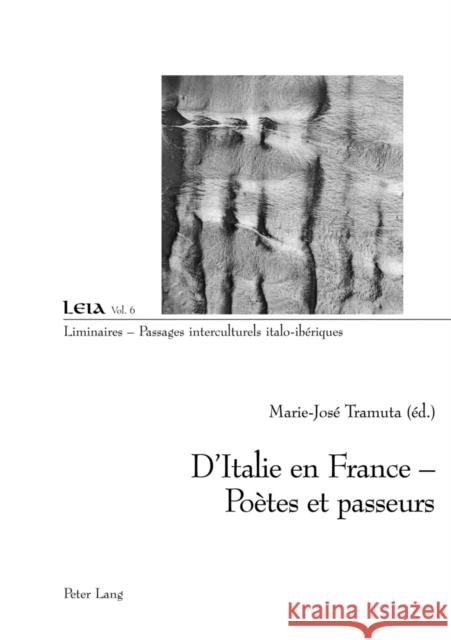 D'Italie En France - Poètes Et Passeurs: Poètes Et Passeurs Fabrizio-Costa, Silvia 9783039106875 Peter Lang Gmbh, Internationaler Verlag Der W