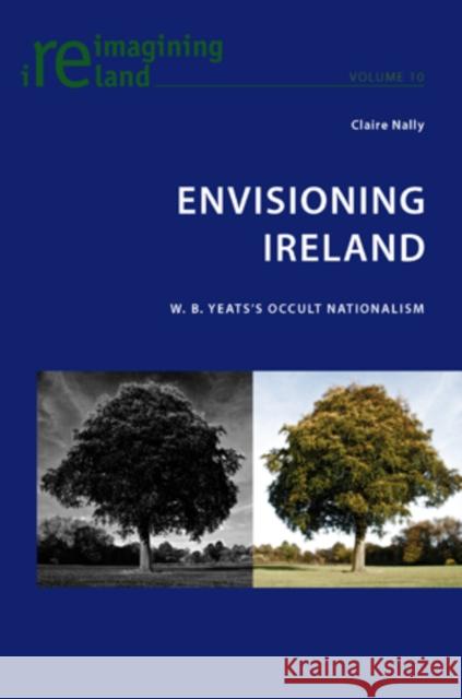 Envisioning Ireland: W. B. Yeats's Occult Nationalism Maher, Eamon 9783039118823