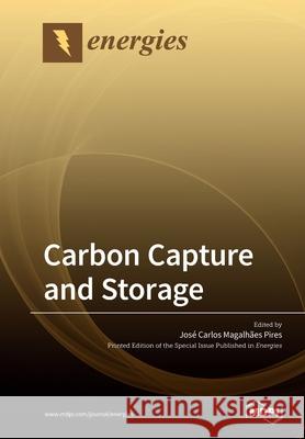 Carbon Capture and Storage Jose Carlos Magalhae 9783039213993