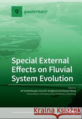 Special External Effects on Fluvial System Evolution Jef Vandenberghe David Bridgland Xianyan Wang 9783039215447 Mdpi AG