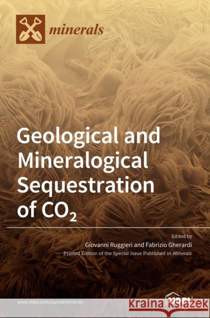 Geological and Mineralogical Sequestration of CO2 Giovanni Ruggieri Fabrizio Gherardi 9783039368761 Mdpi AG
