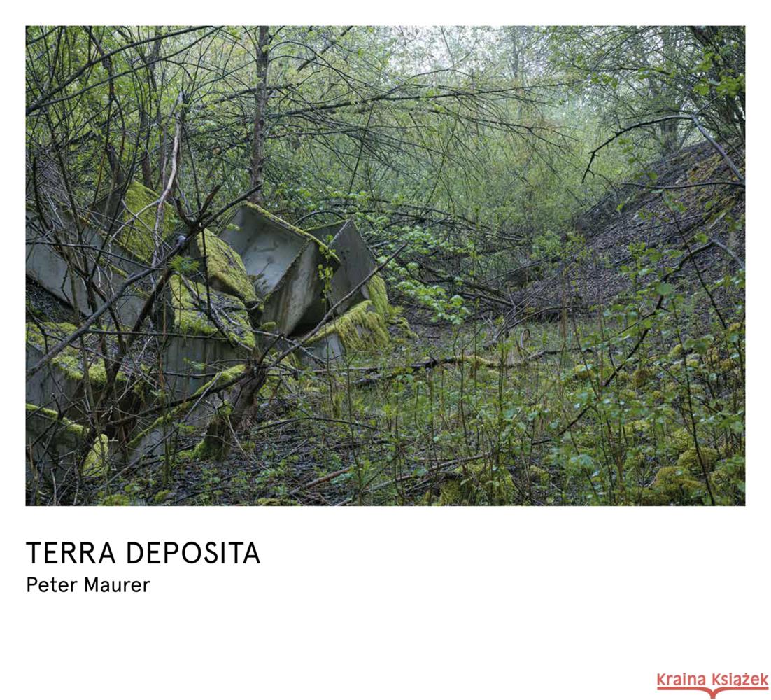 Peter Maurer - Terra Deposita Maurer, Peter 9783039422692