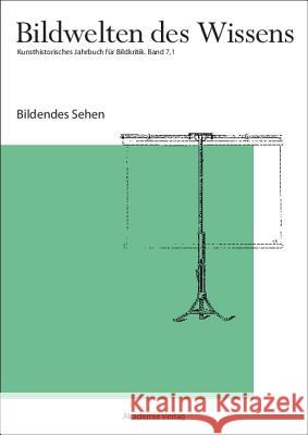 Bildendes Sehen  9783050046099 Akademie Verlag
