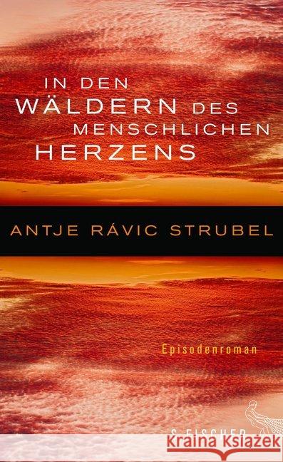 In den Wäldern des menschlichen Herzens : Episodenroman Rávic Strubel, Antje 9783100022813 S. FISCHER