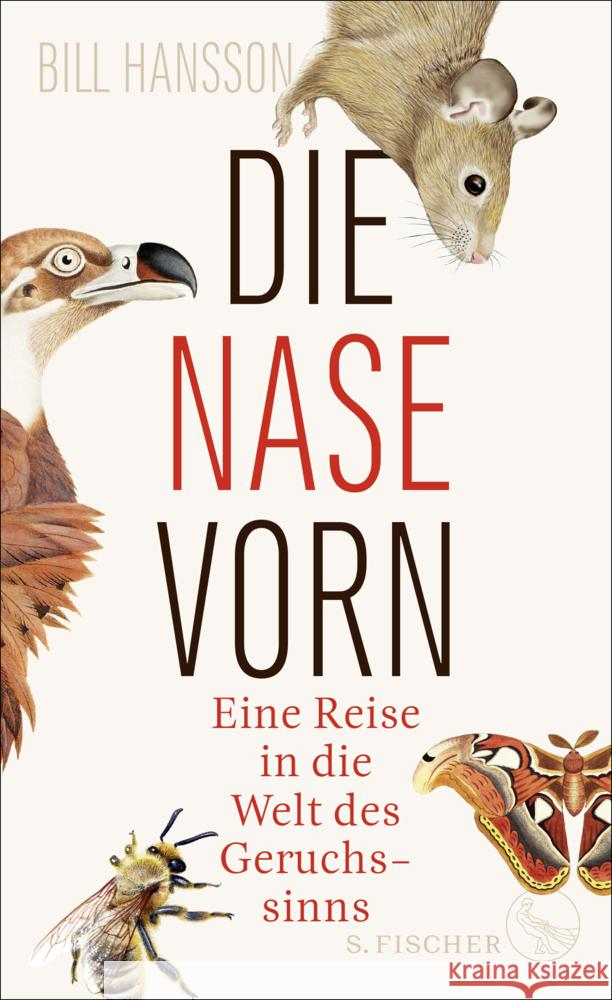 Die Nase vorn Hansson, Bill 9783103970630 S. Fischer Verlag GmbH