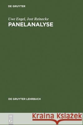 Panelanalyse Engel, Uwe 9783110135701 Walter de Gruyter