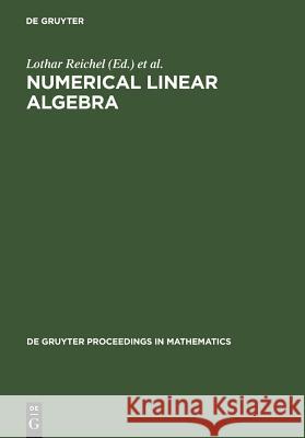 Numerical Linear Algebra: Proceedings of the Conference in Numerical Linear Algebra and Scientific Computation, Kent (Ohio), USA March 13-14, 19 Reichel, Lothar 9783110137842 Walter de Gruyter