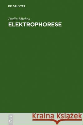 Elektrophorese Michov, Budin 9783110149944 Walter de Gruyter