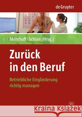 Zurück in den Beruf Friedrich Mehrhoff, Hans-Martin Schian 9783110202311 de Gruyter