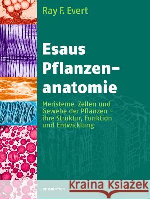 Esaus Pflanzenanatomie University Ray F Evert (University of Wisconsin-Madison), Susan E Eichhorn, Rosemarie Langenfeld-Heyser, Sabine Blechsch 9783110205923 de Gruyter