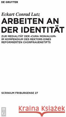 Arbeiten an der Identität Lutz, Eckart Conrad 9783110227147 Llh