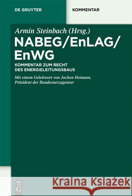NABEG / EnLAG / EnWG : Kommentar zum Recht des Energieleitungsbaus Armin Steinbach 9783110281200 Walter de Gruyter