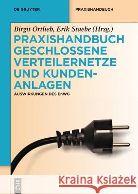 Praxishandbuch Geschlossene Verteilernetze und Kundenanlagen Birgit Ortlieb, Erik Staebe 9783110287882 de Gruyter