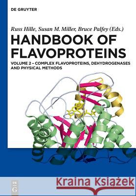 Complex Flavoproteins, Dehydrogenases and Physical Methods Russ Hille Susan Miller Bruce Palfey 9783110298284 Walter de Gruyter