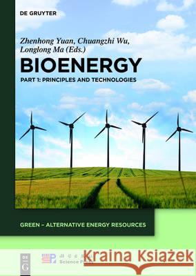 Bioenergy. Volume 1 Yuan, Zhenhong 9783110344196 de Gruyter