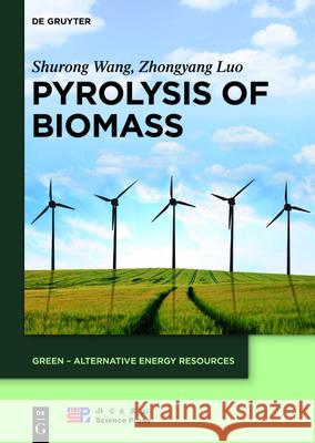 Pyrolysis of Biomass Shurong Wang Zhongyang Luo 9783110374575 de Gruyter