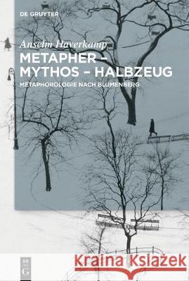 Metapher - Mythos - Halbzeug Haverkamp, Anselm 9783110483710