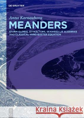 Meanders: Sturm Global Attractors, Seaweed Lie Algebras and Classical Yang-Baxter Equation Karnauhova, Anna 9783110531473 de Gruyter