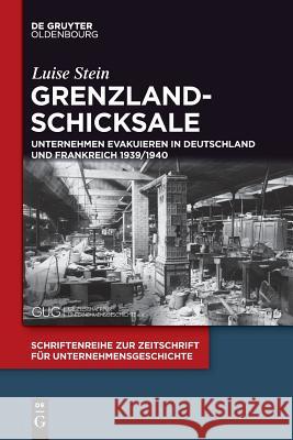 Grenzlandschicksale Stein, Luise 9783110588989