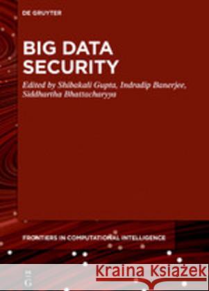 Big Data Security Shibakali Gupta 9783110605884 de Gruyter