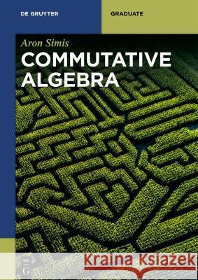 Commutative Algebra Aron Simis 9783110616972