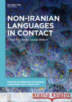 Language Diversity in Iran: New Texts and Perspectives from Non-Iranian Languages Häberl, Charles George 9783110637694