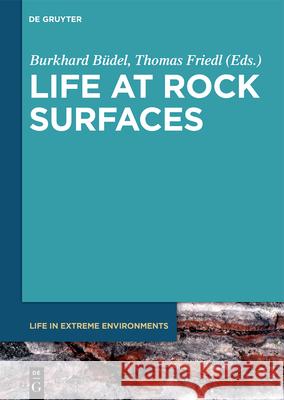 Life at Rock Surfaces: Challenged by Extreme Light, Temperature and Hydration Fluctuations B Thomas Friedl 9783110642612 de Gruyter