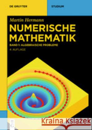 Algebraische Probleme Hermann, Martin 9783110656657 de Gruyter