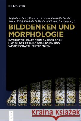 Bilddenken und Morphologie No Contributor 9783110674125 de Gruyter