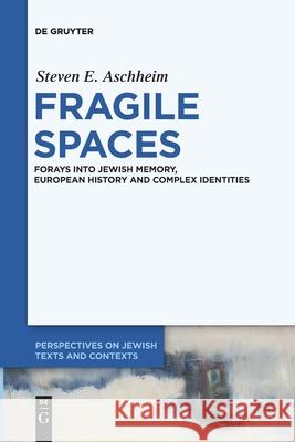 Fragile Spaces Aschheim, Steven E. 9783110709766 de Gruyter