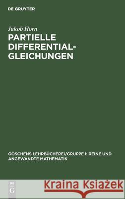 Partielle Differentialgleichungen Jakob Horn 9783110989090 De Gruyter