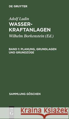 Planung, Grundlagen und Grundzüge Borkenstein, Wilhelm 9783111005751 Walter de Gruyter