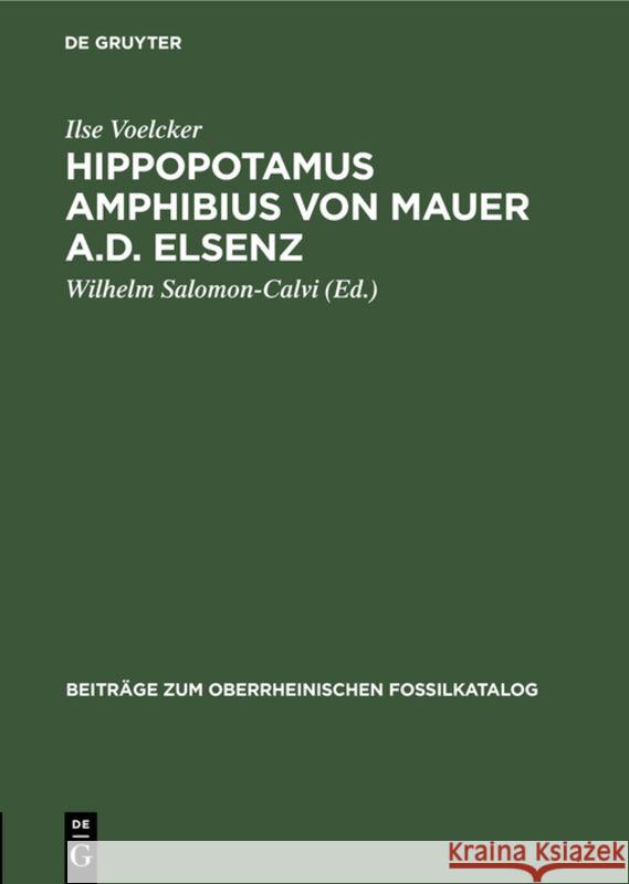 Hippopotamus Amphibius Von Mauer A.D. Elsenz Ilse Wilhelm Voelcker Salomon-Calvi, Wilhelm Salomon-Calvi 9783111051512 De Gruyter