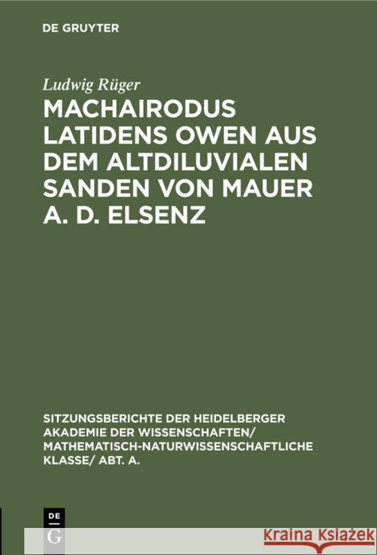 Machairodus Latidens Owen Aus Dem Altdiluvialen Sanden Von Mauer A. D. Elsenz Ludwig Rüger 9783111190006 De Gruyter